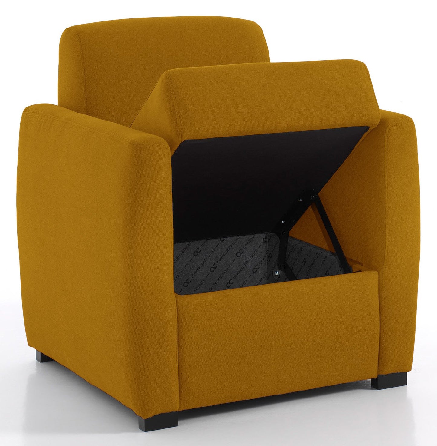 CHARLY - Fauteuil coffre - Velours